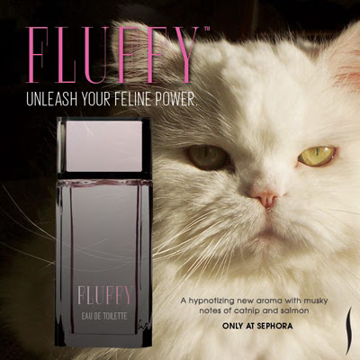 Fluffy-Sephora-Cat-April-Fools.jpeg