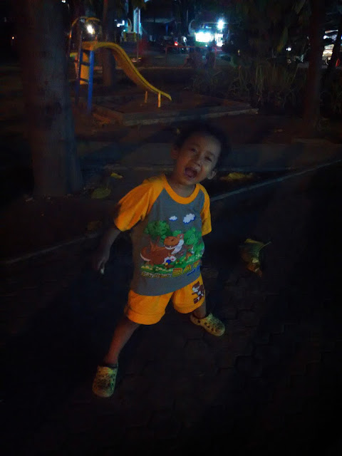 taman nginden intan