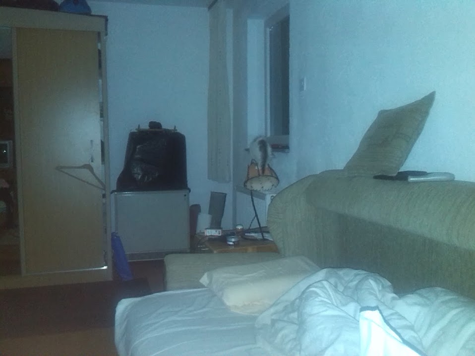 Slika