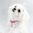 joan faires avatar image