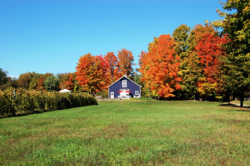 Victory View Vineyard