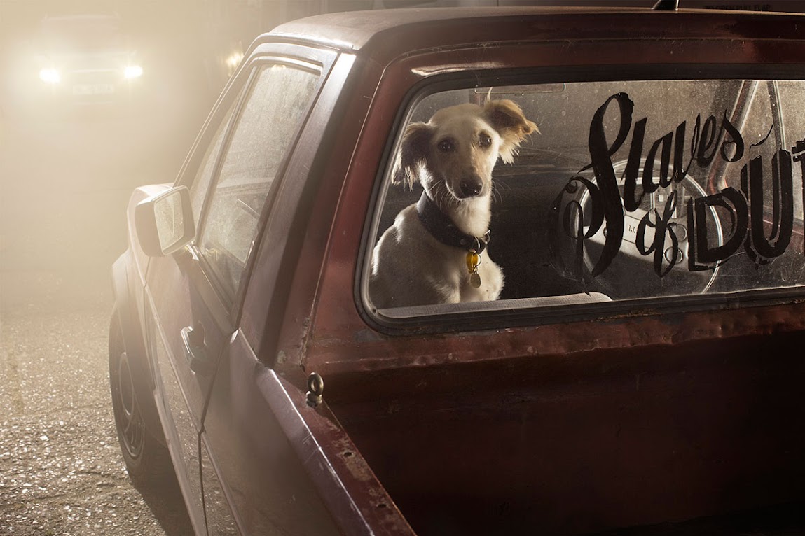 ＊被鎖在車內沉默的狗：攝影師Martin Usborne 黑暗呈現！ 8