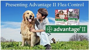  Advantage Flea Control Kit for Dogs and Cats up to 10 Doses