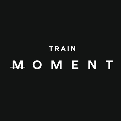 TRAIN MOMENT logo