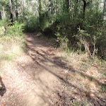 Oaks Cycleway (151617)