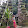 Pilar Gallo Pilar Gallo's profile photo