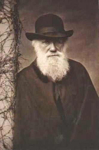 What Did Darwin Say About Religion And God