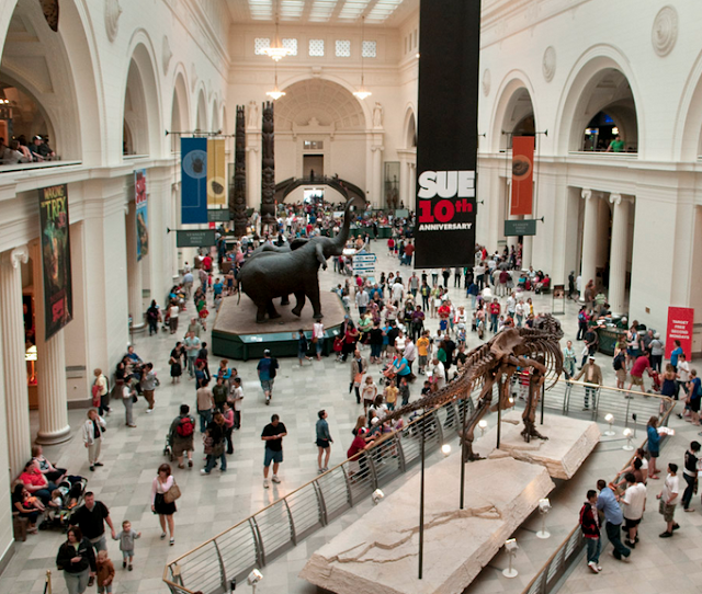 The Field Museum