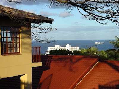 Photos of Umbrella Tree House