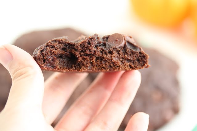 close-up of a hand holding a cookie.