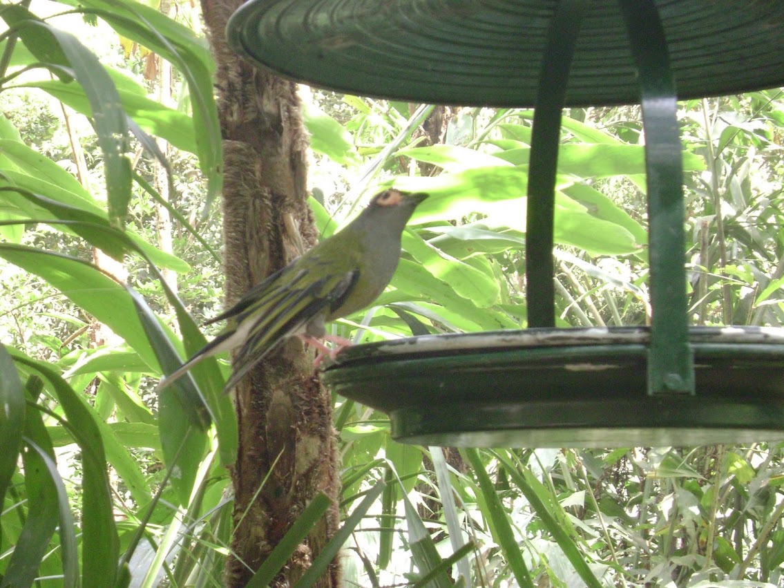 DSC07450.JPG