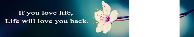 Cover photo