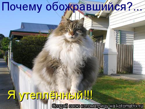 Ни дня без улыбки. Подари мне солнце… Ни дня без улыбки. Подари мне солнце…