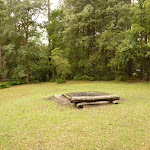 Picnic area at the Pines campsite in the Watagans (320579)