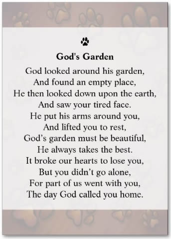 Chocolate Brown Paw Prints Photo Pet Remembrance Card with God's Garden Poem on Back
