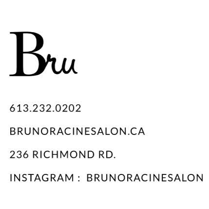 Bruno Racine Salon logo
