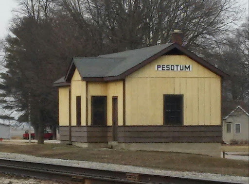 101 S Chestnut St, Pesotum, IL 61863, USA