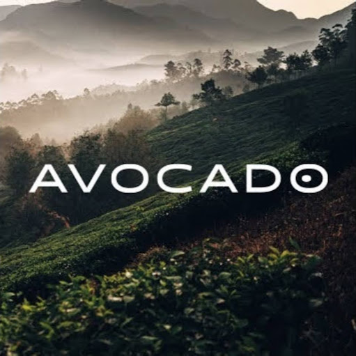 Avocado Green Mattress - Natural & Organic Mattresses - Orange County