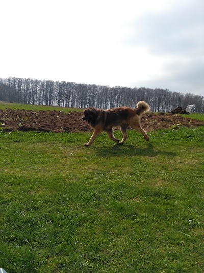 Photos of Deinhards Viecherei, Gebertshof