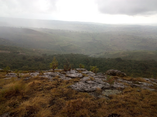 Mount Kenya National Park