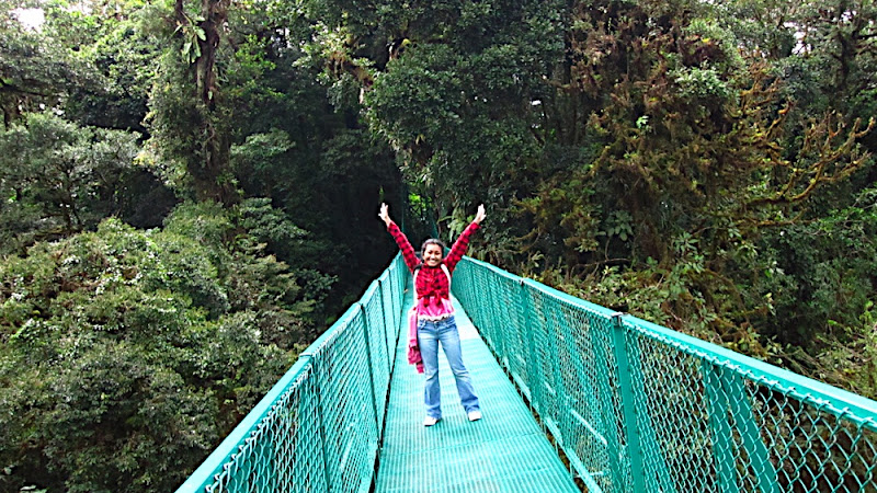 Hanging Bridge in Monte Verde