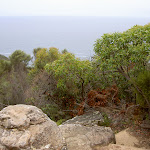 View from Bouddi Lookout (21554)