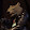 Ian Castleman Ian Castleman's profile photo