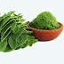 moringa powder 
