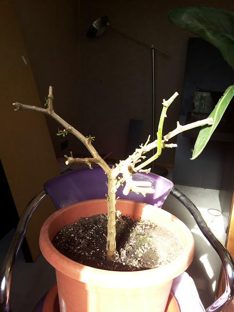 20150322_141204.jpg