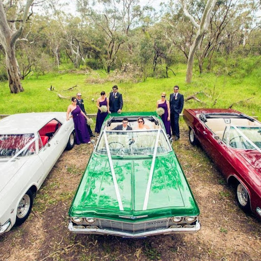 Impressive Impalas Of Adelaide