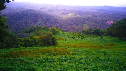 Mini Ooty View Point, Arimbra - Mini Ooty Road, Arimbra, Kerala 673638, India, Tourist_Attraction, state KL
