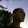 francesco cuizza francesco cuizza's profile photo