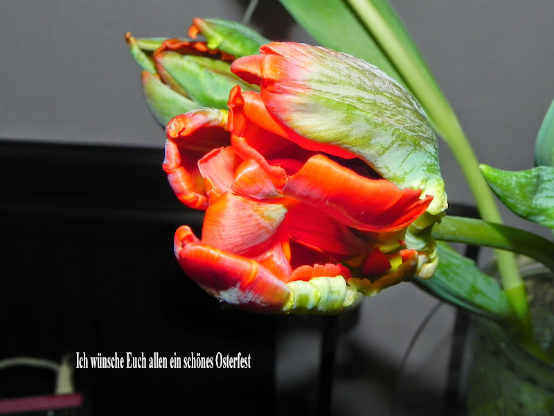 DSCN8841.JPG