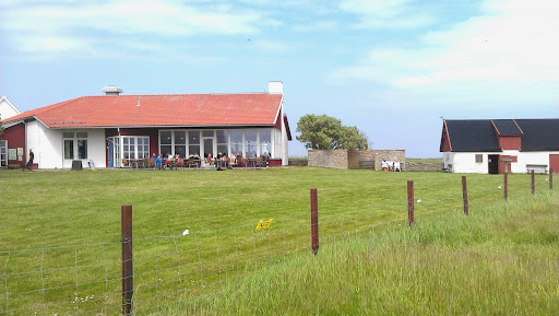 Place around image
