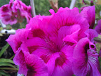 IMG_20120416_191211.jpg