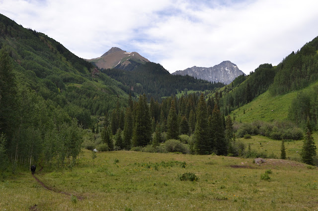 a couple peaks over a meadow with a cow in it