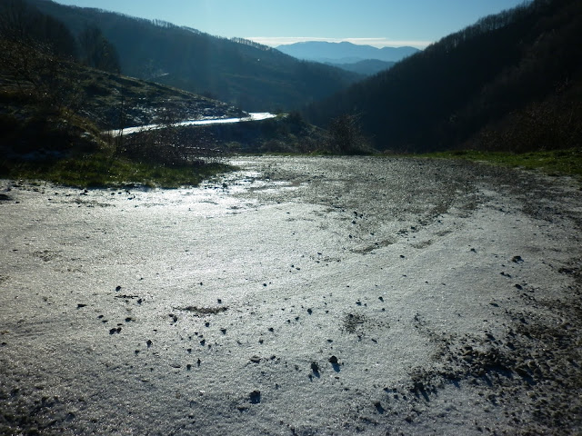 P1000434.JPG