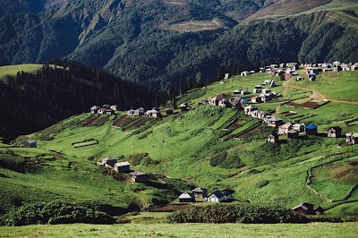 Photos of Gomismta