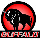 Buffalo Motors