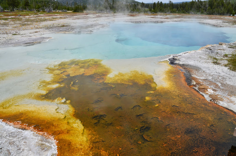 yellowstone biscuit basin