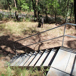Casuarina link trail stairs (198817)