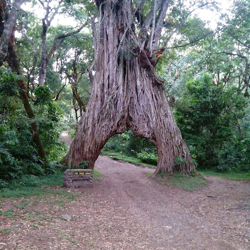 Hatari Lodge