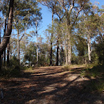 Track up the hill to Bournda Trig (103411)