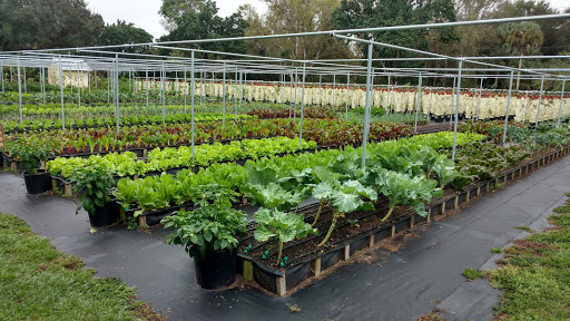 Buckingham Farms