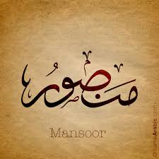 Mansoor Baig Photo 23