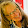 Sheryl Froehlich Sheryl Froehlich's profile photo