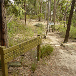 Int of the Great North Walk and the Blue Gum Walk (SW) (333275)