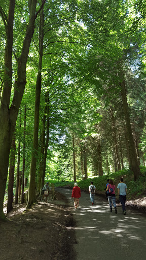 Ladybower Reservoir