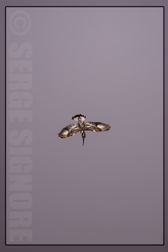 Okavango Delta