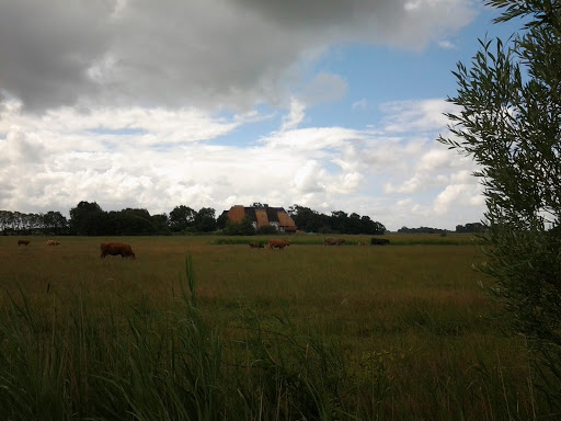 Nolde museum